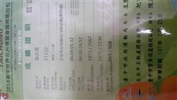 照片